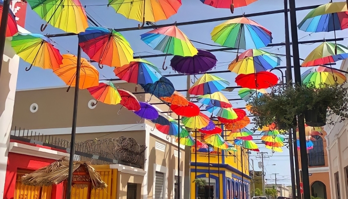 umbrella Street